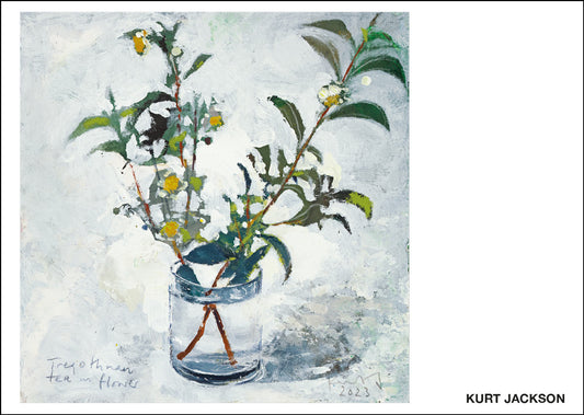 Tregothnan tea in flower. Postcard. Pack of 10.