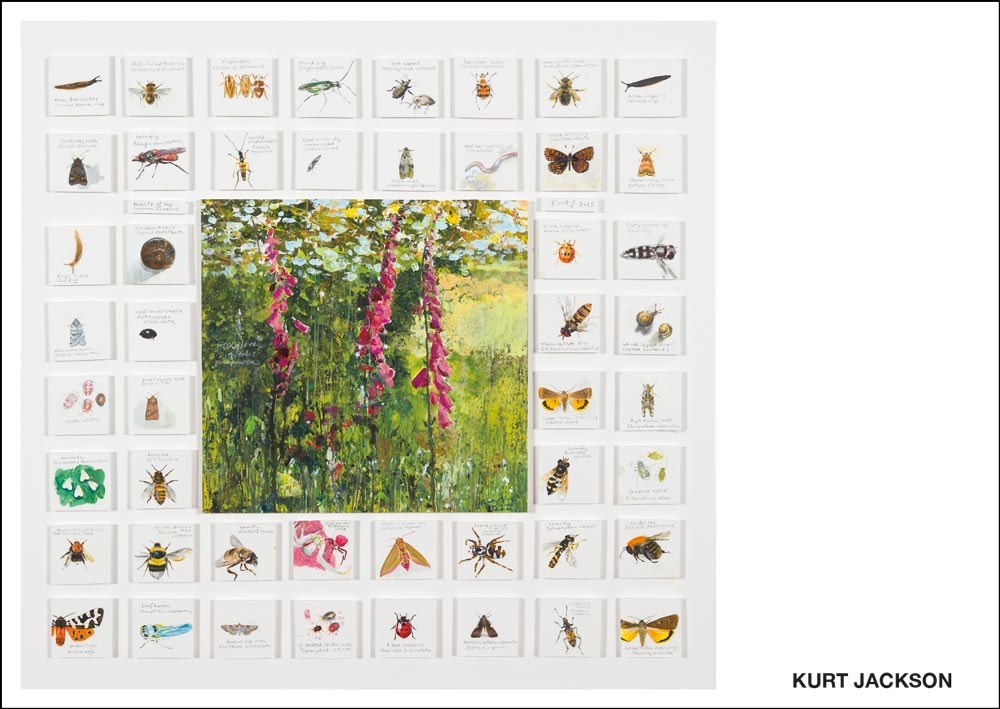 Bioblitz of a common foxglove. Postcard. Pack of 10. £7.50
