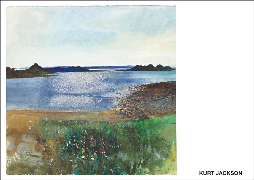 Hot Ginamoney evening. The foxgloves watch the sunlight silver the sea. Identical postcards. Pack of 4. £7.50