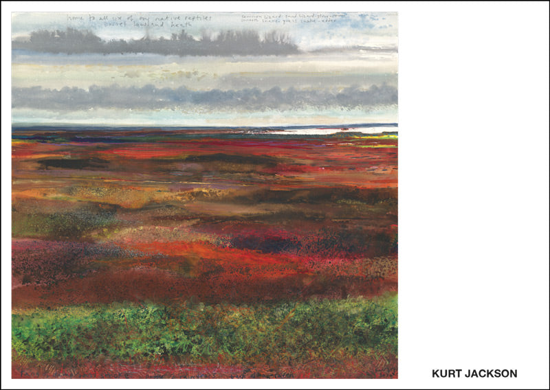 Dorset lowland heath reptiles. Postcard. Pack of 10.