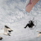 Flight of the Swans - Film Screening and Q&A