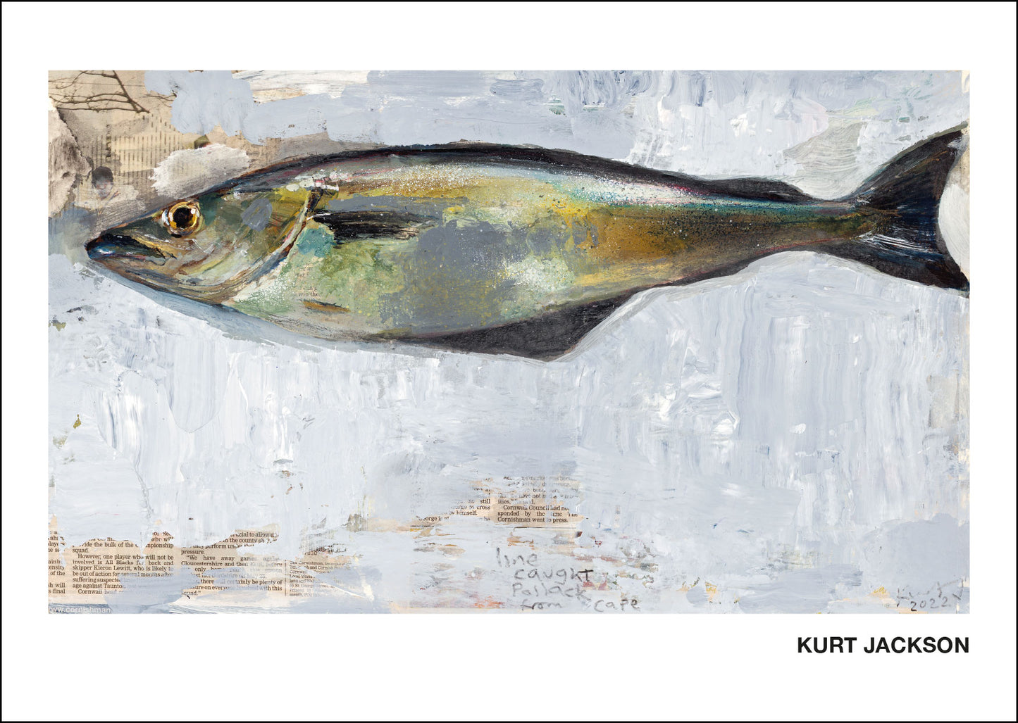 Still life of a line caught pollack from Cape Cornwall. Postcards. Pack of 10. £7.50