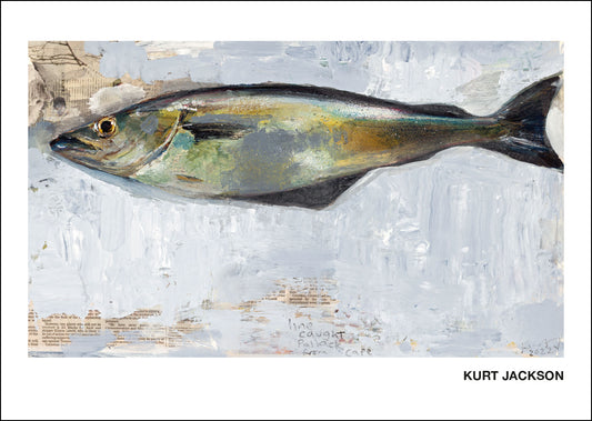 Still life of a line caught pollack from Cape Cornwall. Postcards. Pack of 10. £7.50