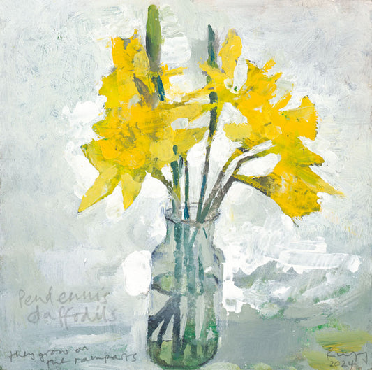 Pendennis daffodils. Greeting card. Pack of 4. 