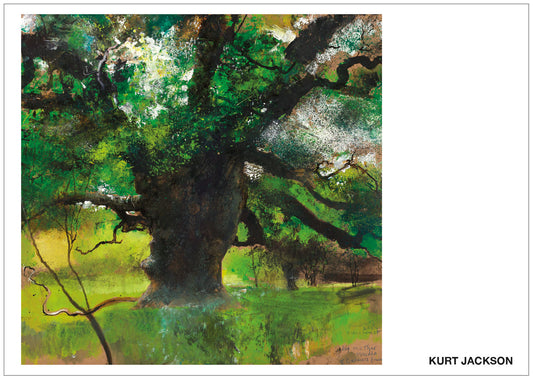 Big mother maiden of Balmer's Lawn. New Forest. Post Card. Pack of 10. 