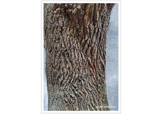 Our shared history. Post Card. Pack of 10.