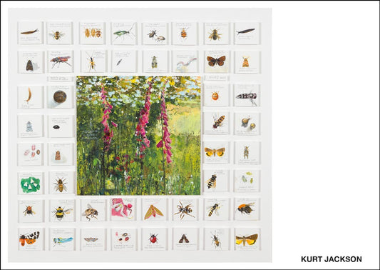 Bioblitz of a common foxglove. Postcard. Pack of 10. £7.50