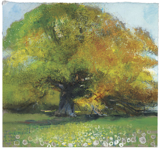 Spring foliage just opened. Greeting Card. Pack of 4. 