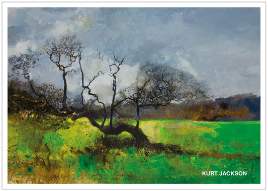 The 350th or 450th Cornish spring, the most westerly oak of age. Post Card. Pack of 10.