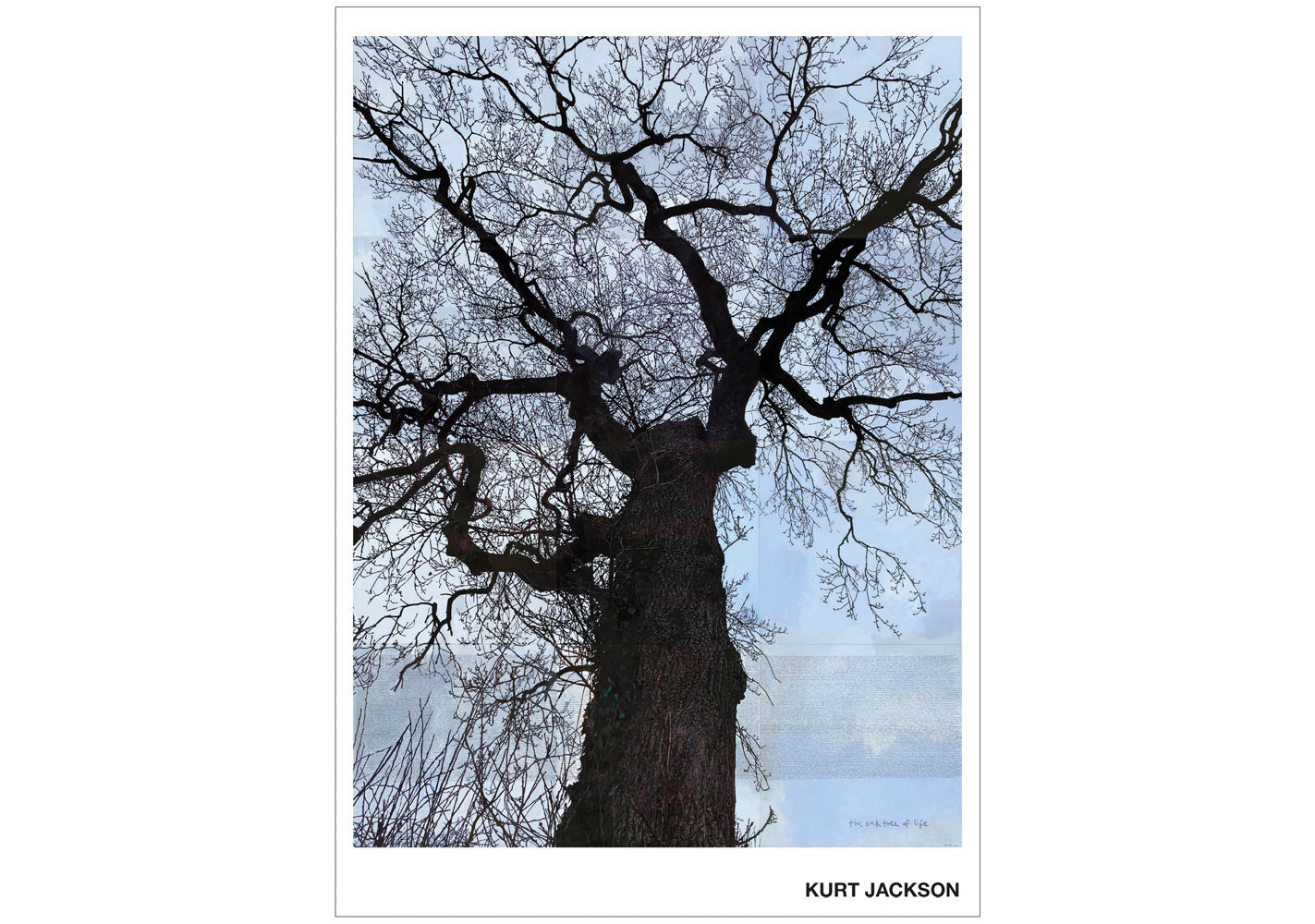 The oak tree of life. Post Card. Pack of 10.