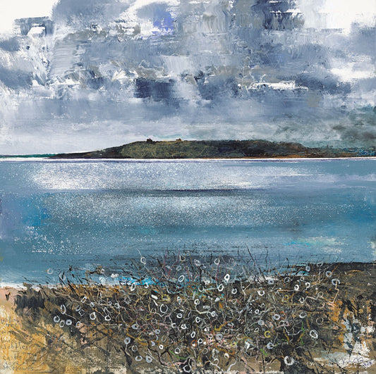 Willow tree with limpet clooties. Castle Cove, St Mawes. Greeting Card. Pack of 4. 