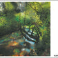 The Fowey Postcard Collection (Mixed pack of 10 Postcards)
