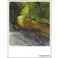 The Fowey Postcard Collection (Mixed pack of 10 Postcards)