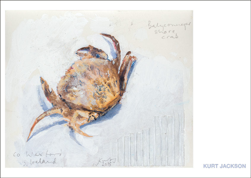 Balyconnegar shore crab, Ireland. 2015. Postcard. Pack of 10.