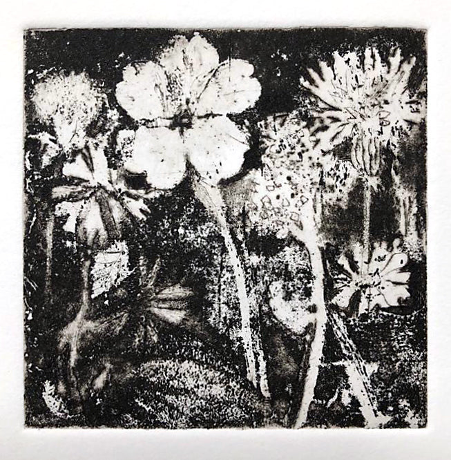 Flowers for the NHS. Etching. (2020)