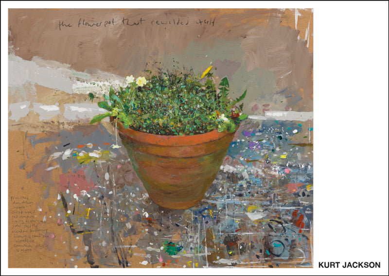 The flower pot that rewilded itself. Postcard. Pack of 10.