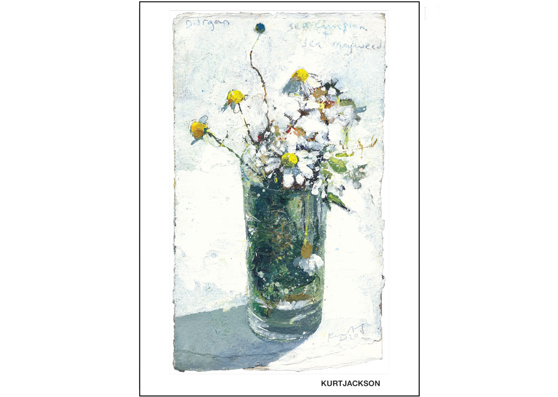 Sea campion and sea mayweed. Postcard. Pack of 10.
